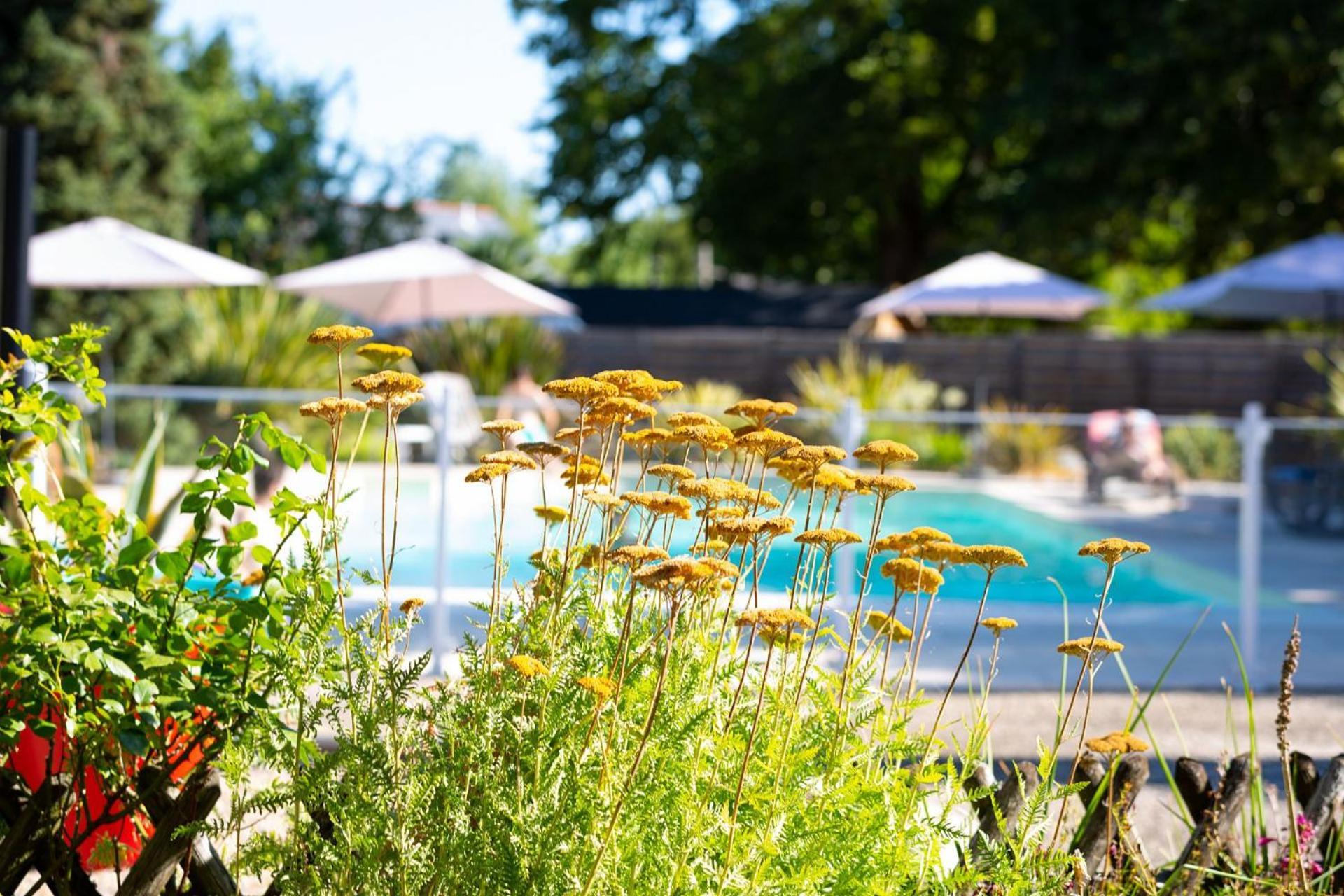 Hotel Mileade Le Domaine De La Blairie - Saumur Saint-Martin-de-la-Place Bagian luar foto